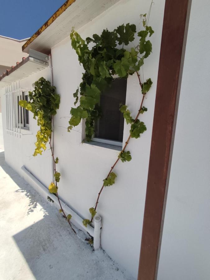 House Of Sun Apartment Fanes  Bagian luar foto